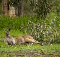 The Stirling Golf Club - Phillip Island Accommodation