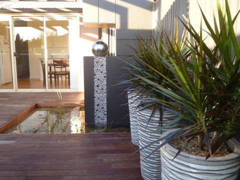 The Wet Lizard - Phillip Island Accommodation 0