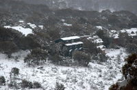 Book Thredbo Accommodation Vacations Phillip Island Accommodation Phillip Island Accommodation