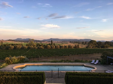 Tranquil Vale Vineyard - Phillip Island Accommodation 0