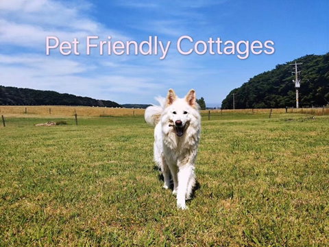 Twelve Apostles Motel & Country Retreat - Phillip Island Accommodation 2