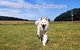 Twelve Apostles Motel & Country Retreat - thumb 2