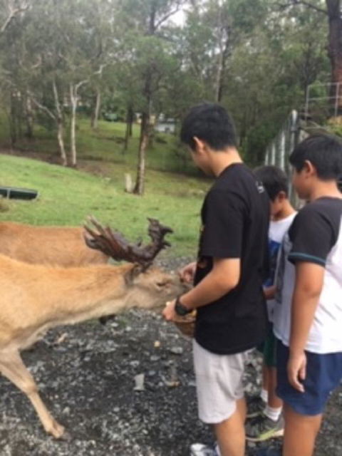 Villa Cervi Property - Phillip Island Accommodation 3