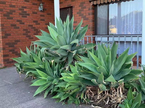 Vintage House In Bentleigh East - Phillip Island Accommodation 1