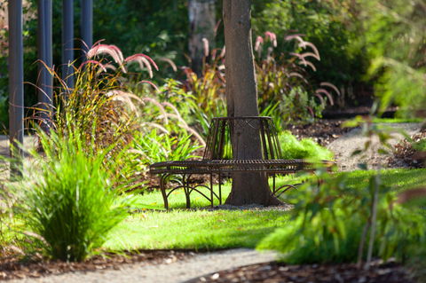 Blazing Stump Motel & Suites - Phillip Island Accommodation 35