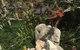 The PC Cottage - thumb 33