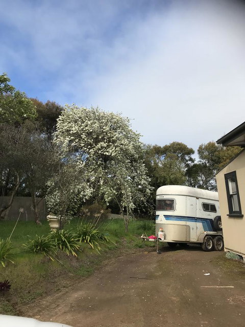 Hillâ€™s Creek Holiday Home - Phillip Island Accommodation 6