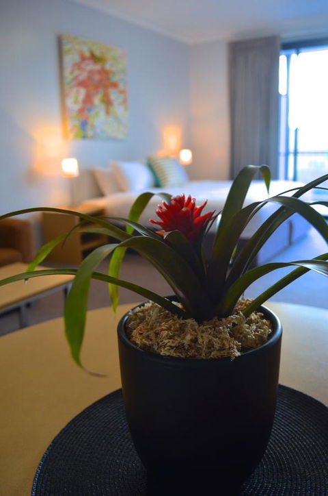 Mansfield Apartments - Phillip Island Accommodation 21