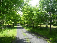 Book Wonga Park Accommodation Vacations Phillip Island Accommodation Phillip Island Accommodation