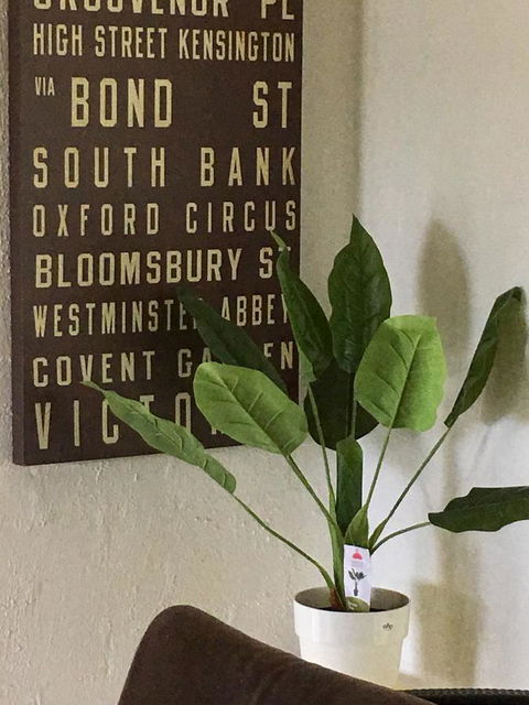 Nest On A Crest - Phillip Island Accommodation 7