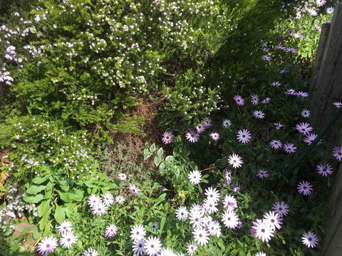 Nest On A Crest - Phillip Island Accommodation 21