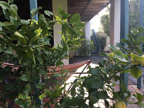 Nest On A Crest - Phillip Island Accommodation 30