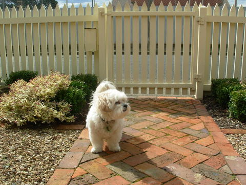 Sabina On Little Myers - Phillip Island Accommodation 24