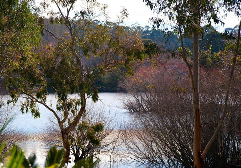 Lake Como Villa - Phillip Island Accommodation 10