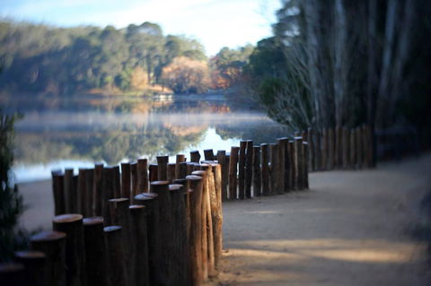 Minni Gums - Phillip Island Accommodation 4