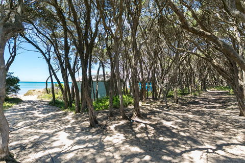 Perfect Blairgowrie Beach House - Phillip Island Accommodation 17