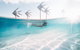 Coral Tree Inn - thumb 39
