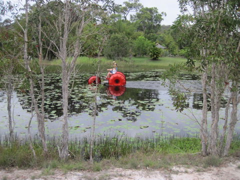 1770 Southern Cross Travellers Retreat - Phillip Island Accommodation 16