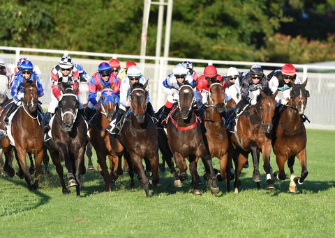 Best Western Airport 85 Motel - Phillip Island Accommodation 10