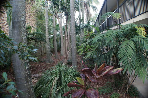 Best Western Airport 85 Motel - Phillip Island Accommodation 34