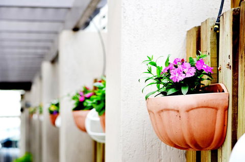 Spring Hill Mews Apartments - Phillip Island Accommodation 12