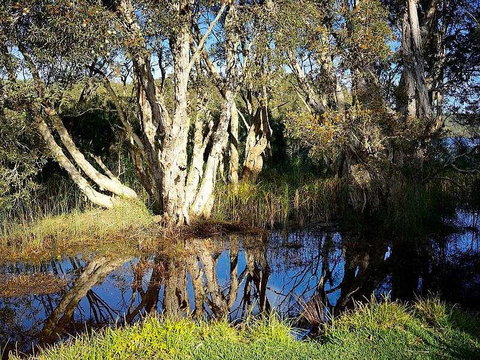 Wisteria Cottage On The Lagoon/Beach - Phillip Island Accommodation 2
