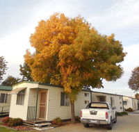 Wodonga Caravan  Cabin Park - Phillip Island Accommodation