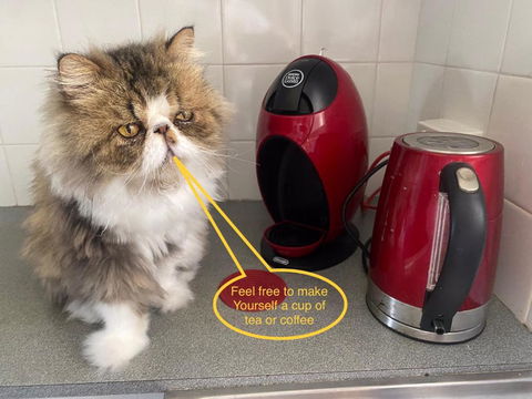 A Mini Slice Of Fremantle - Phillip Island Accommodation 2