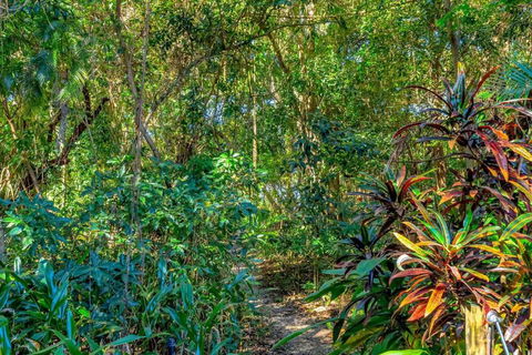 Absolute Beachfront, Heart Of Port Douglas - 24 S - Phillip Island Accommodation 3