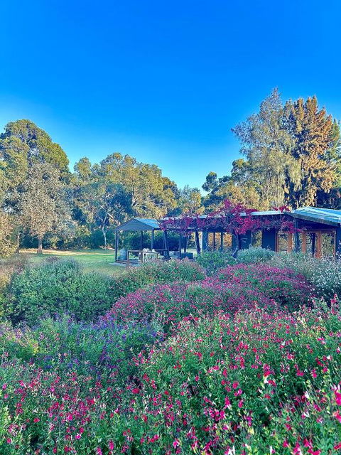 Alluca Villa McLaren Vale Vineyard Escape - Phillip Island Accommodation 4