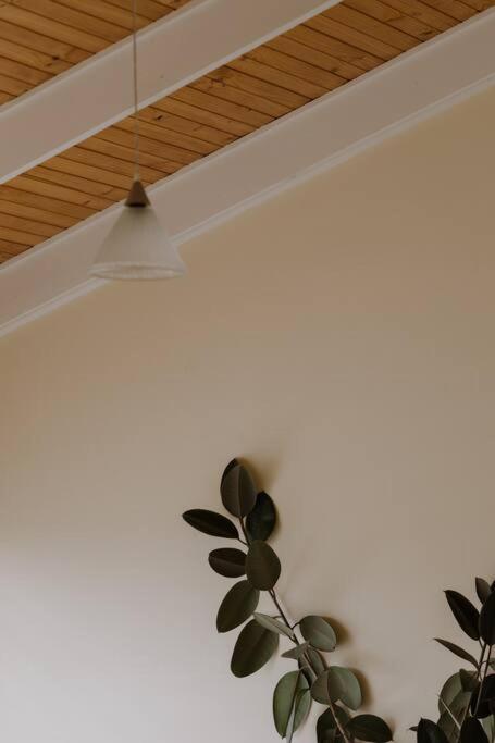 Amarela Haus - Calming Retreat Within Oceans Reach - Phillip Island Accommodation 1