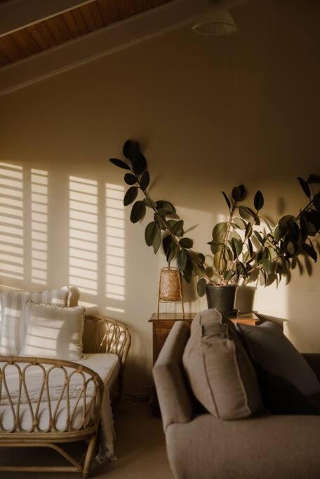 Amarela Haus - Calming Retreat Within Oceans Reach - Phillip Island Accommodation 2