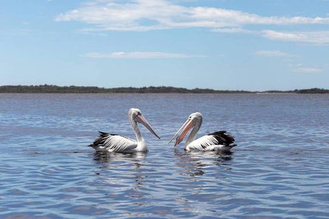 Amazing Ansons Bay Remote Paradise For The Family In The Bay Of Fires Area - Phillip Island Accommodation 2