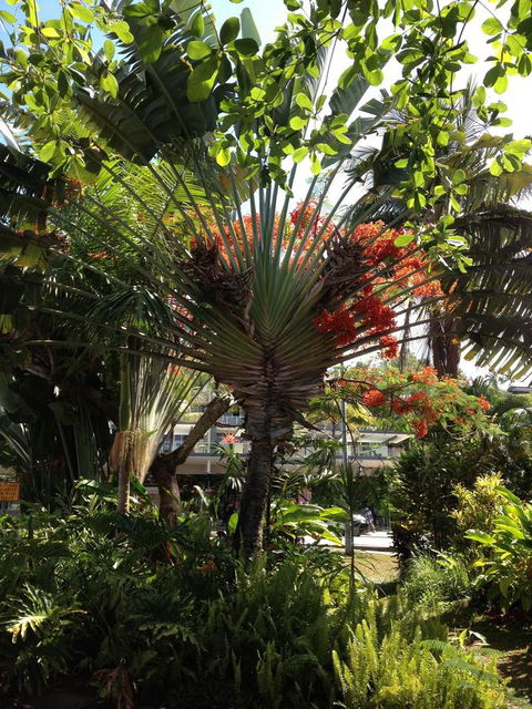 Port Douglas Apartments - Adults Only Oasis - Phillip Island Accommodation 39