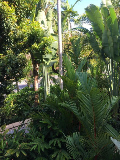 Port Douglas Apartments - Adults Only Oasis - Phillip Island Accommodation 1