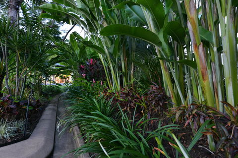 Port Douglas Apartments - Adults Only Oasis - Phillip Island Accommodation 9