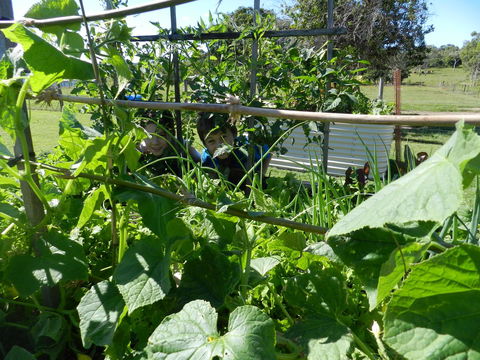 Hay Point Country BnB - Phillip Island Accommodation 17