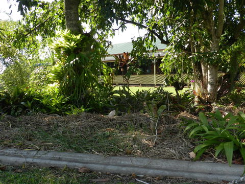 Hay Point Country BnB - Phillip Island Accommodation 23