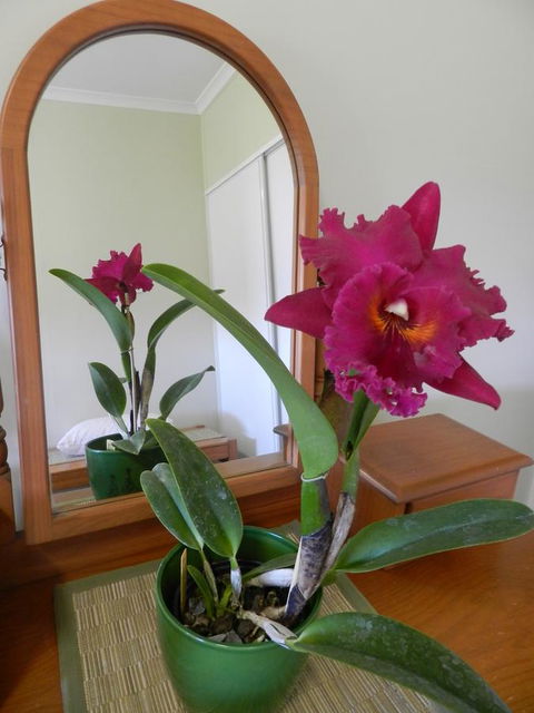 Hay Point Country BnB - Phillip Island Accommodation 10