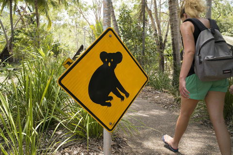 Roamer Magnetic Island Koala Park - Formerly Selina Magnetic Island - Phillip Island Accommodation 27