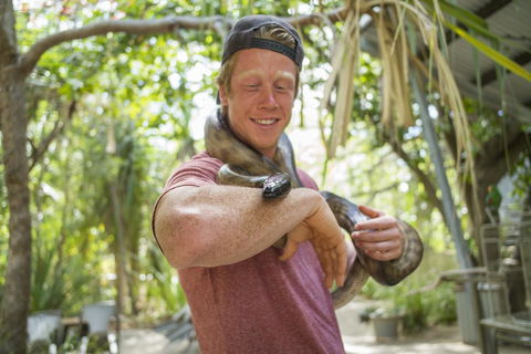 Roamer Magnetic Island Koala Park - Formerly Selina Magnetic Island - Phillip Island Accommodation 13