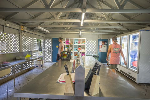 Roamer Magnetic Island Koala Park - Formerly Selina Magnetic Island - Phillip Island Accommodation 28