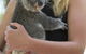Roamer Magnetic Island Koala Park - Formerly Selina Magnetic Island - thumb 12