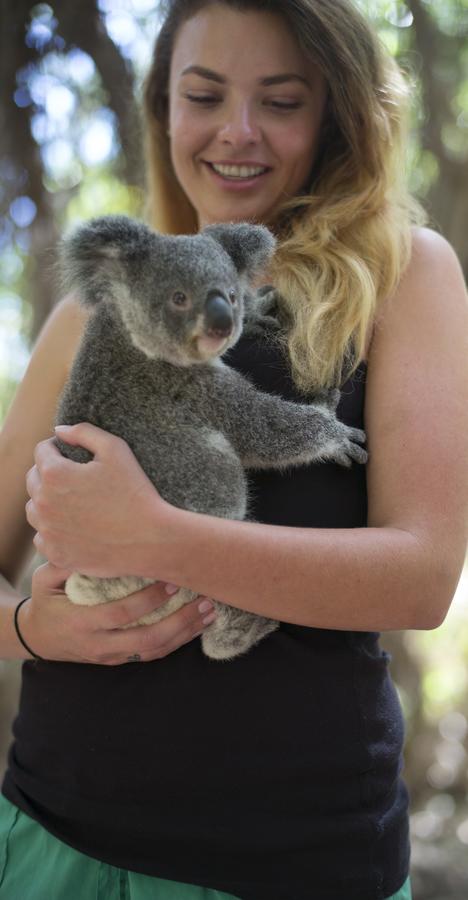 Roamer Magnetic Island Koala Park - Formerly Selina Magnetic Island - Phillip Island Accommodation 12