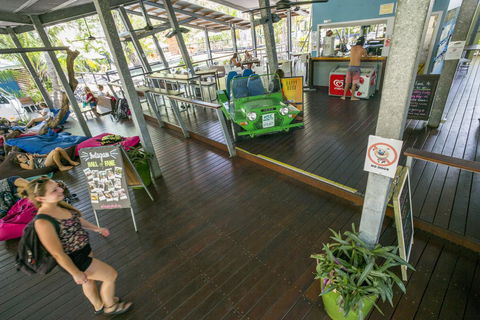 Roamer Magnetic Island Koala Park - Formerly Selina Magnetic Island - Phillip Island Accommodation 19