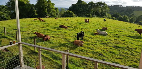 Seasons Of Maleny B&B - Phillip Island Accommodation 1