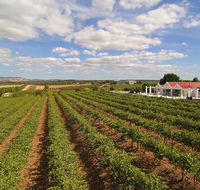 1837 Barossa Luxury Vineyard Cottages