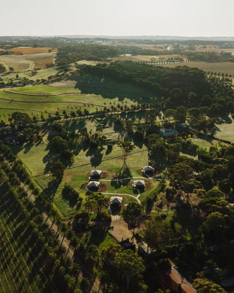 CANVS By CABN Seppeltsfield Barossa - Phillip Island Accommodation 1