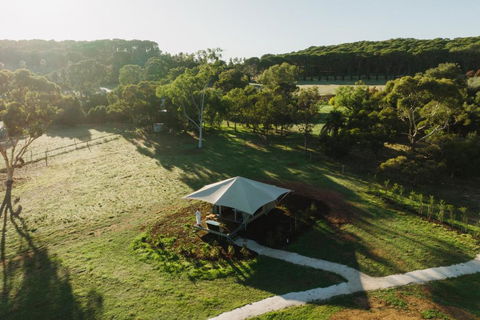 CANVS By CABN Seppeltsfield Barossa - Phillip Island Accommodation 0