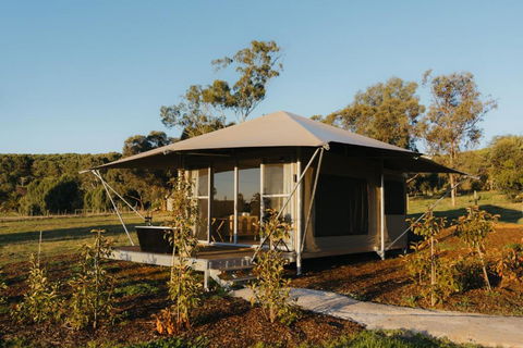 CANVS By CABN Seppeltsfield Barossa - Phillip Island Accommodation 3